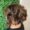 Melhor Corte de Cabelo em Nova Lima - Lena Salão