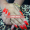 Capa Google (53)